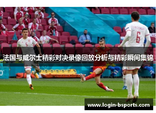 法国与威尔士精彩对决录像回放分析与精彩瞬间集锦